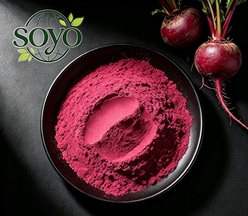 Organic Beet Root Extract Powder