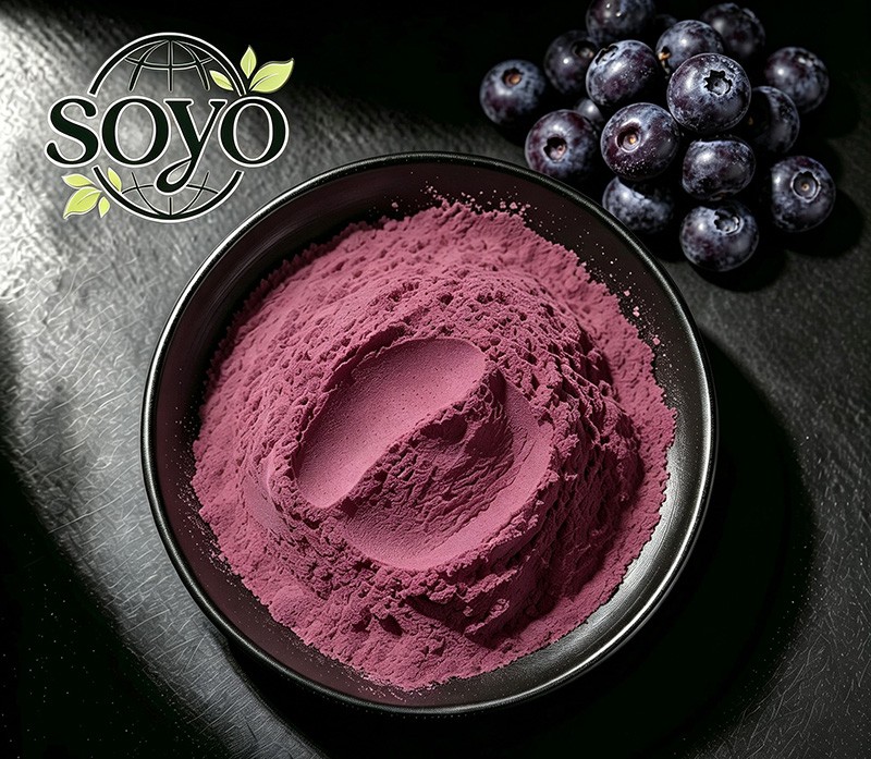Organic Blueberry Extract Powder